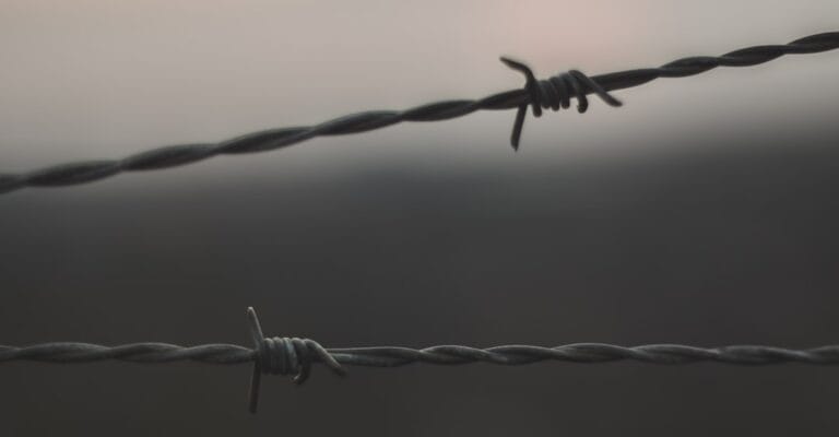 Régimen de impatriados: ventajas fiscales