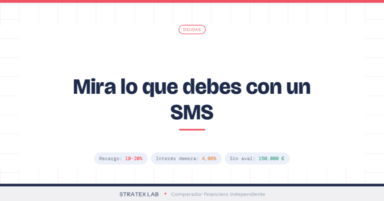 consultar deudas Seguridad Social - Stratex Lab